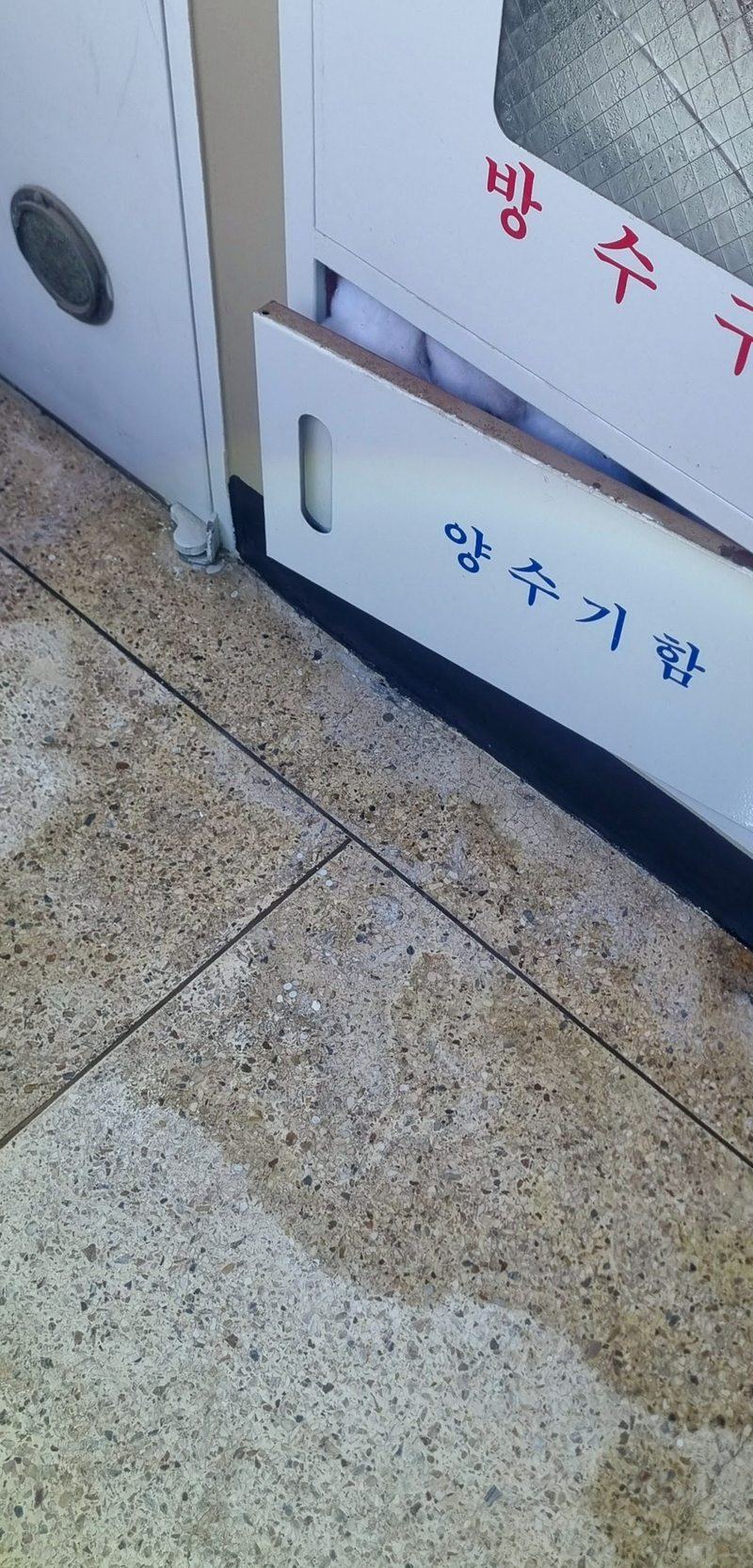 공용 양수기함 앞 복도 바닥에 물이 번져 있는 모습