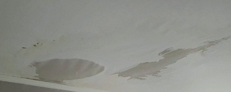 아랫집 천장에 물이 번져 넓게 얼룩지고 도장면이 들뜬 모습