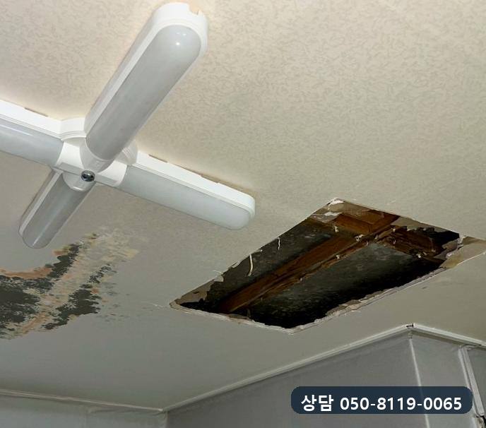 천장 전등 옆으로 누런 얼룩이 번지고 천장판 두 곳을 열어 둔 모습