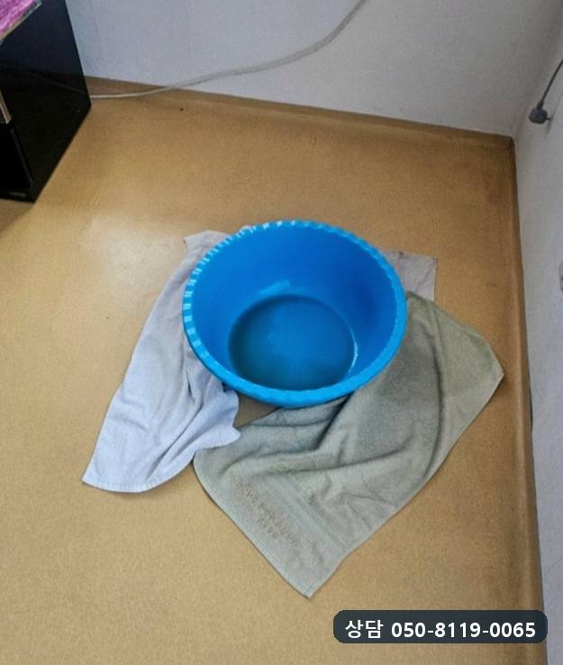 천장에서 떨어지는 물을 받으려고 바닥에 대야와 수건을 받쳐 둔 모습