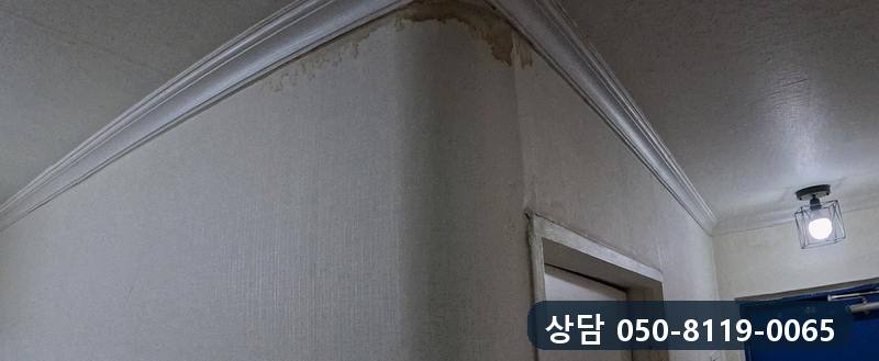 아래층 복도 천장 모서리를 따라 번진 갈색 물 자국