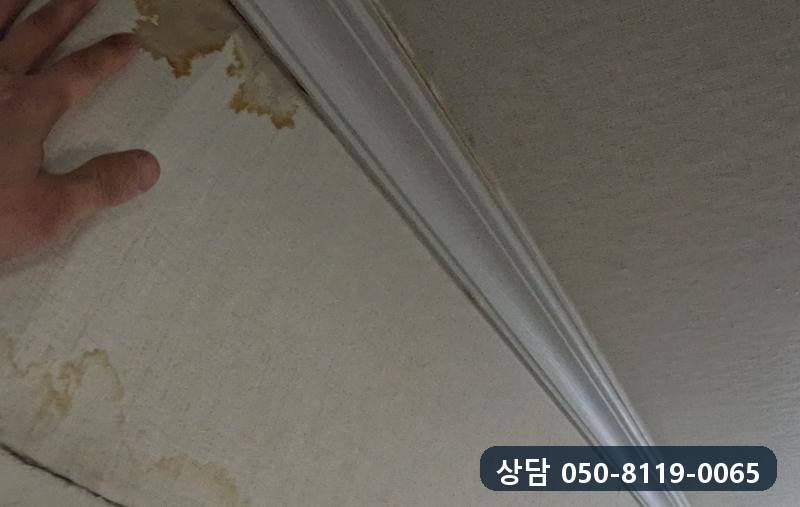 몰딩 밑 들뜬 벽지를 손으로 눌러 젖은 정도를 확인하는 모습