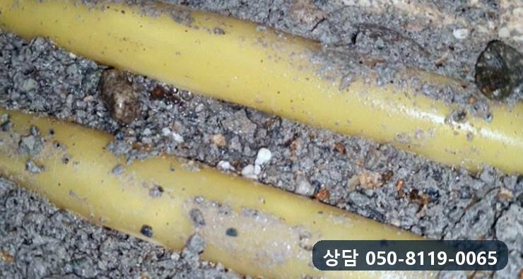 바닥 속에 나란히 묻혀 있던 노란색 PPC 온수관 두 줄을 가까이서 본 모습
