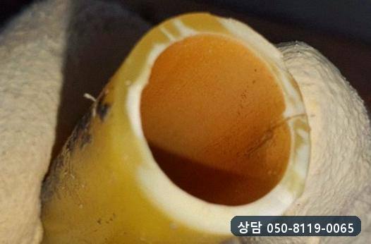 다른 각도에서 본 온수관 단면 안쪽의 가는 금